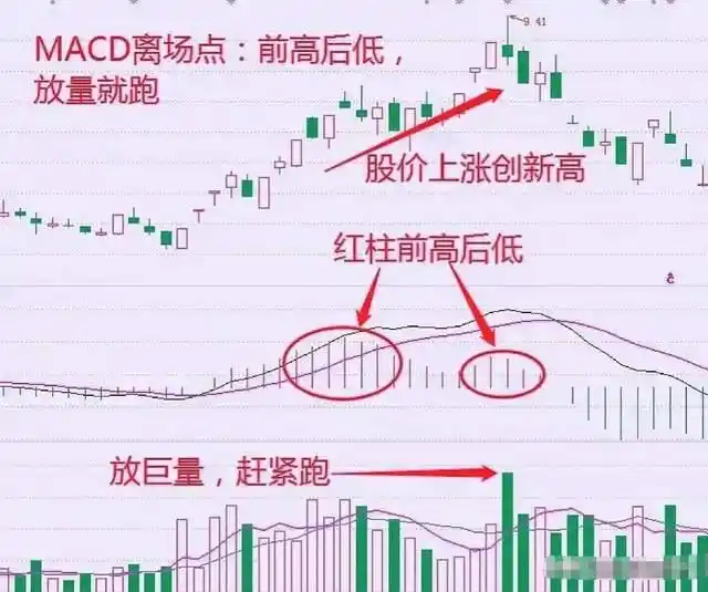 股市财富自由_长期价值投资_炒股赚钱