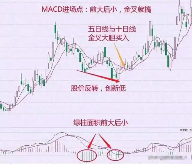 股市财富自由_炒股赚钱_长期价值投资
