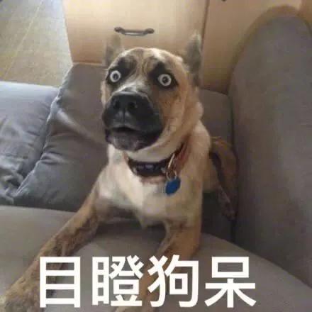 股指期货配资开户_场外配资风险_高杠杆炒股危害